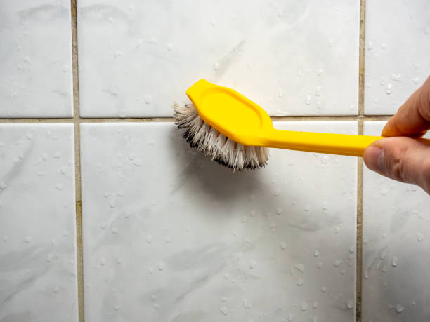 Best Affordable Mold Removal  in Fair Oaks, VA