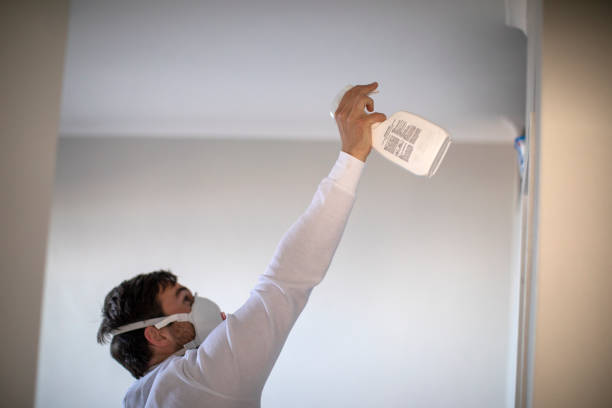 Best Mold Remediation  in Fair Oaks, VA