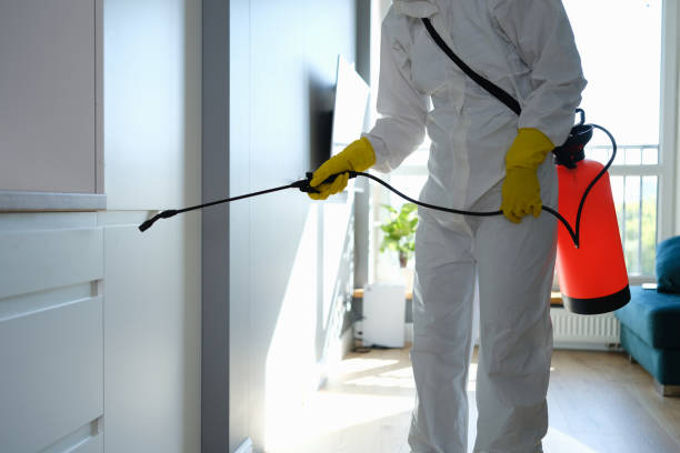 Best Mold Removal Company Near Me  in Fair Oaks, VA