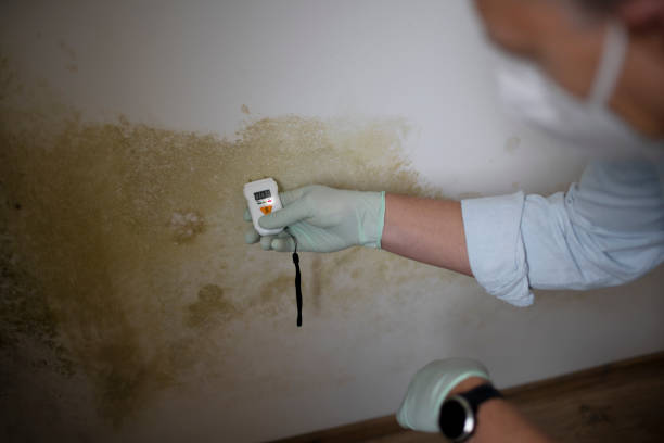 Attic Mold Removal in Fair Oaks, VA