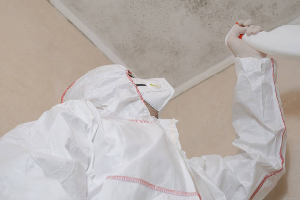 Best Mold Cleaning Services  in Fair Oaks, VA